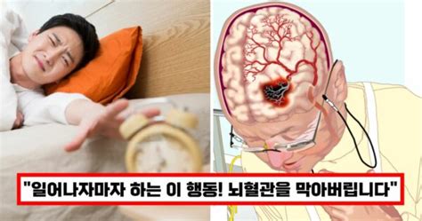 아침에 일어나서 절대 하지마세요 의사들이 뜯어말리는 뇌혈관 막는 최악의 행동 5가지 웰빙미디어