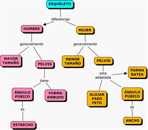 Mapa Conceptual Sobre El Sistema Oseo Mapa Mentos Images