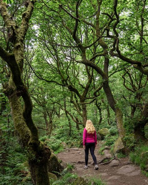 Padley Gorge A Spectacular Circular Walk Through Mysterious Ancient