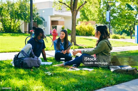beragam kelompok mahasiswa  kampus foto stok  gambar