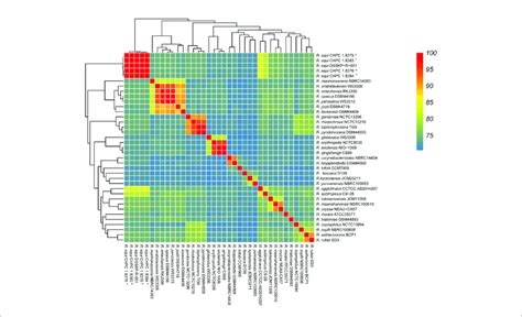 Average Nucleotide Identity Ani Analysis Of The Genomes Of 37