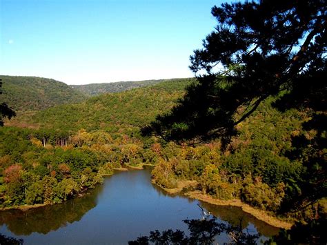 Best Hikes in Ozark - St. Francis National Forests (AR) - Trailhead ...