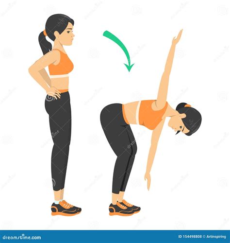 Toe Touch Exercise Person In Sport Clothes Stretching Stock Vector Illustration Of Back Full