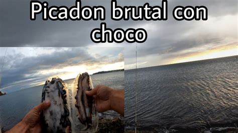 Picada Brutal Con Chocomagnus Fishing Youtube