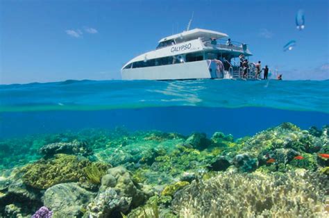 Calypso Sur La Grande Barri Re De Corail Port Douglas R Ves D Australie