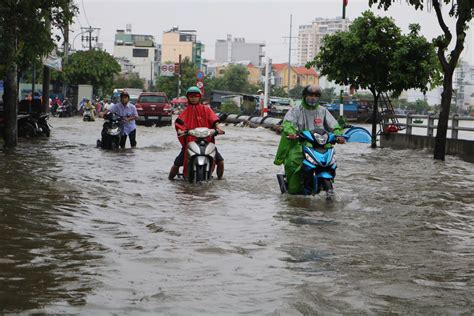 Tri U C Ng D Ng Cao Gi Tan T M Nhi U Tuy N Ng Tp Hcm Bi N