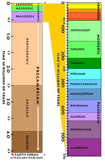 Fossil Record Timeline