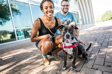 Austin Animal Center gears up for its biggest adoption event of the ...