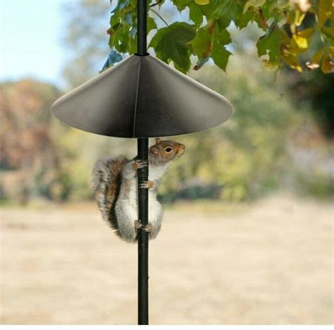 Bird Feeder Squirrel Baffle Raccoon Proof Pole Hook