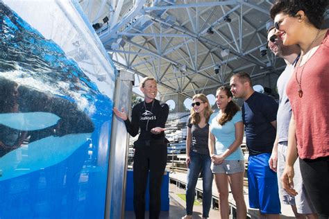 SeaWorld Orlando - Killer Whale Up Close Tour - 002 - Touring Central ...