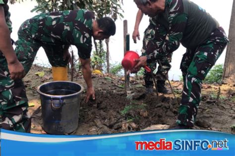 Sektor 19 Citarum Harum Tanam Ratusan Pohon Tarum Di Bantaran Sungai