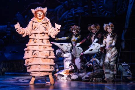 Legendary Broadway musical "CATS" is coming to Vancouver this spring | Listed