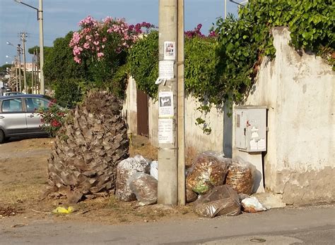 Le Foto Del Giorno Ardea Rifiuti E Cattivi Odori In Via Delle Giunchiglie