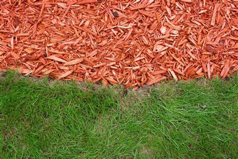 Gorgeous Mulch Options For Garden And Landscapes