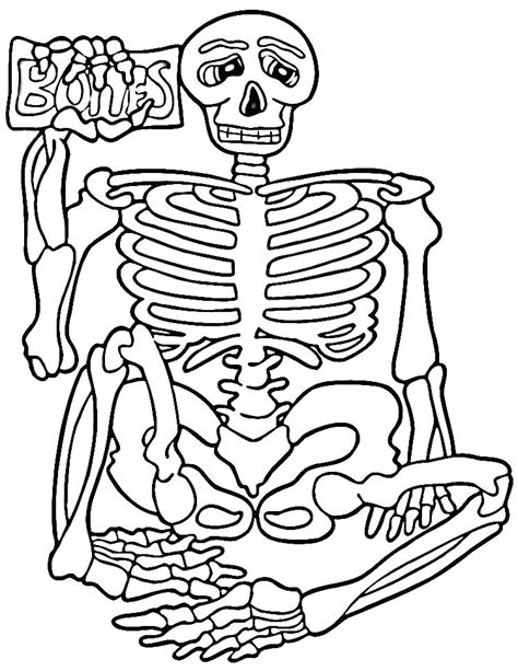 Axial Skeleton Coloring Worksheet