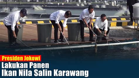 Live Presiden Jokowi Resmikan Modeling Kawasan Tambak Budi Daya