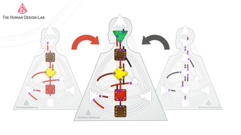 Dise O Humano The Human Design Lab