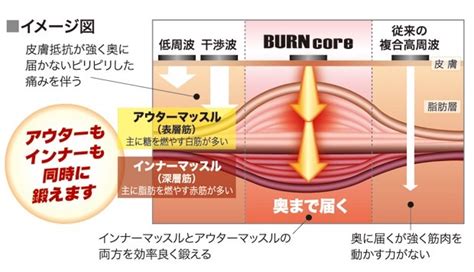 インナーマッスルとアウターマッスルについて 郡山つつみ鍼灸整骨院