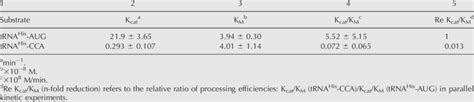 TRNase Z Processing Kinetics With Pre TRNA His AUG And CCA Substrates