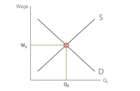 Labour Markets Micro Flashcards Quizlet