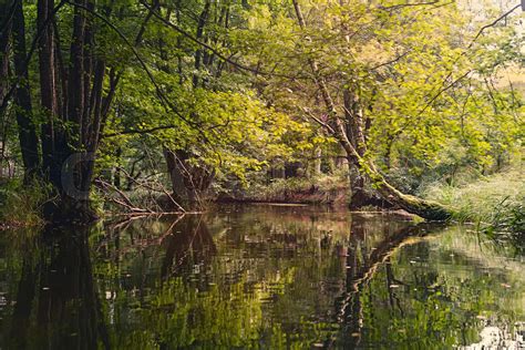 Idyllic Landscape Seen From The River Stock Image Colourbox