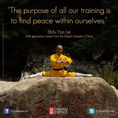 Finding Peace Shaolin Master Shifu Martial Arts