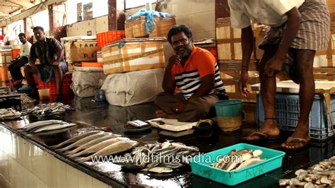 Local Fish Market In Vanagaram Chennai Youtube