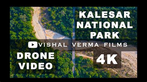 Kalesar National Park Yamunanagar Haryana Vishal Verma Films Full Drone