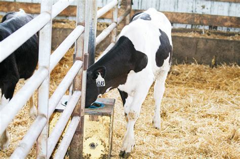 Presentation introduces ‘biologically appropriate nutrition’ - | Ag Proud 