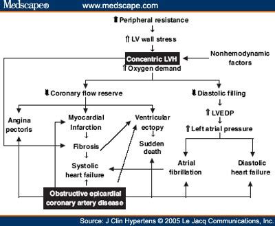 Ischemic Ischemic Heart Disease Pathophysiology