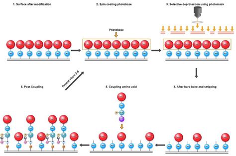 Peptide Synthesis 1 Fmoc Protected Glycine Base Layer For Peptide