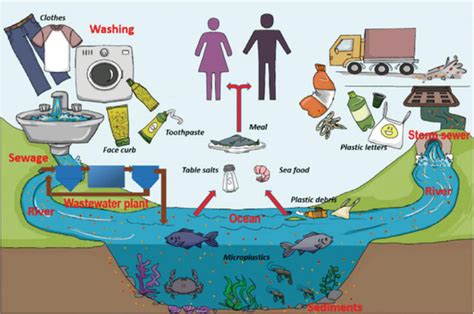 Challenges And Treatment Of Microplastics In Water Intechopen