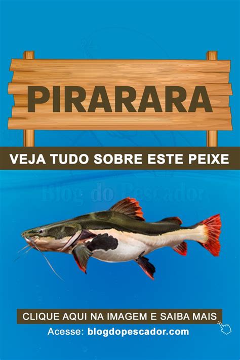 Pirarara Saiba Tudo Sobre Este Peixe Peixes Peixes De Agua Salgada