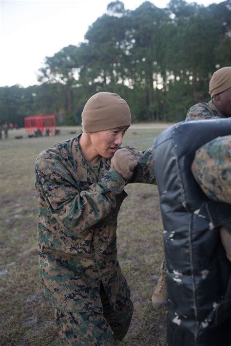 Dvids Images Photo Gallery Parris Island Recruits Build Strength