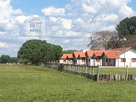 Fazenda Completa 40 600 Hectares C Pista De Pouso E Hangar Pium TO