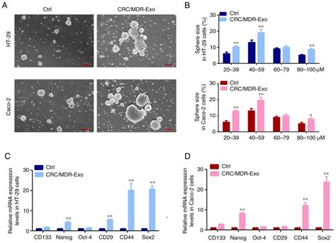 Exosomes Derived From Mdr Cells Induce Cetuximab Resistance In Crc Via