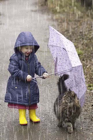 Umbrella Cat Umbrella Cat Raining Discover Share GIFs