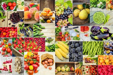 detail gambar kolase buah buahan koleksi nomer