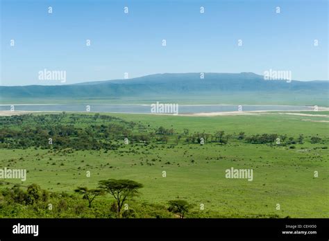 Ngorongoro Crater Panoramic View From Ascent Road Tanzania Stock Photo