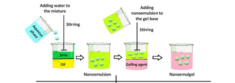 Schematic Representation Of Nanoemulgels Preparation Step Preparation