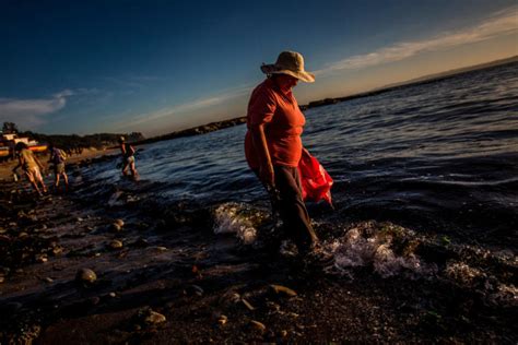 Wwf Chile Comparte Su Visión Sobre Mujeres En La Pesca Artesanal Y