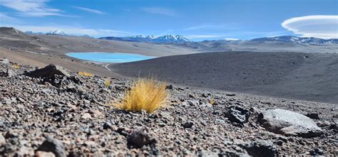 Catamarca: Argentina's Hidden Jewel | Latina Republic