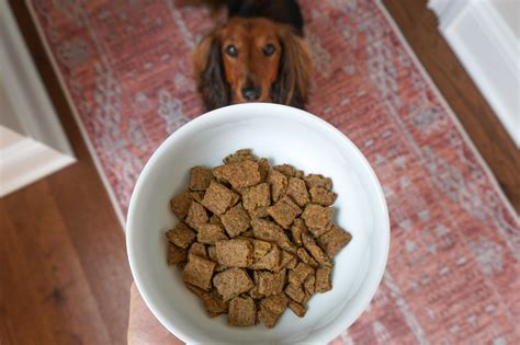 The Pets Table Dog Food Review: Our Experience with the Newest Fresh D