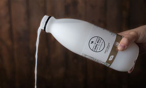 What Are The Best 5 Healthiest Milk Alternatives