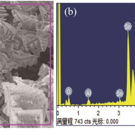 A Sem Images Of Tin Dendritic Nanostructures Prepared For Min B