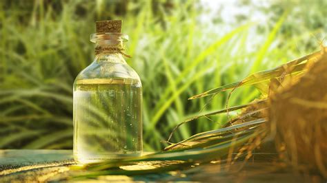 Aceite esencial de vetiver beneficios propiedades y usos que quizás