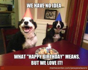 Funny Animal Birthday Memes – Animal Happy Birthday Memes Jokes ...