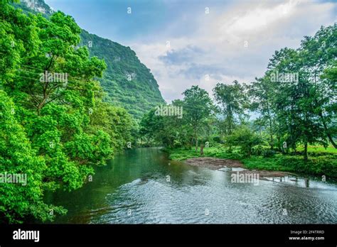 The river and green tree scenery in spring Stock Photo - Alamy