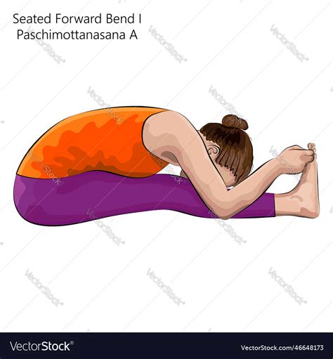 Seated Forward Bend Pose Paschimottanasana Vector Image