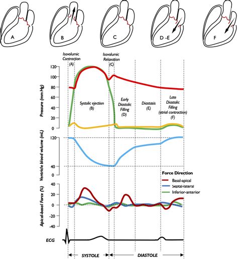 Introduction To Hemodynamic Forces Analysis Moving Into The New